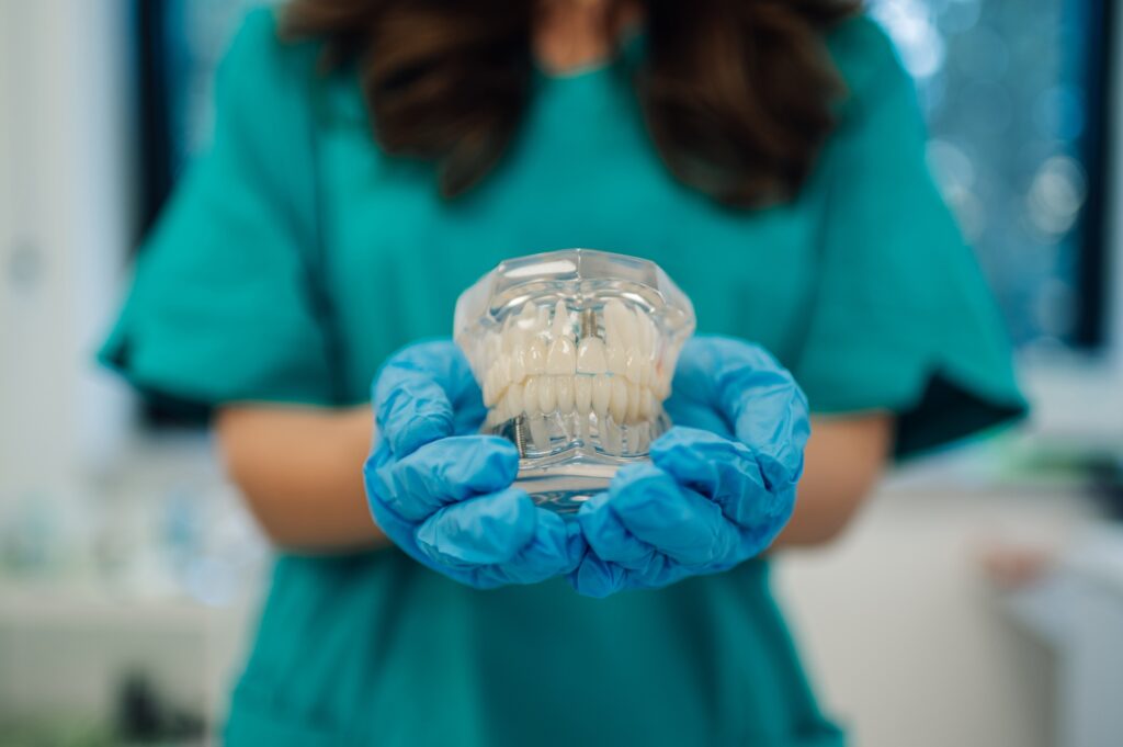 Dentist holding teeth model in dental clinic for treatment explanation